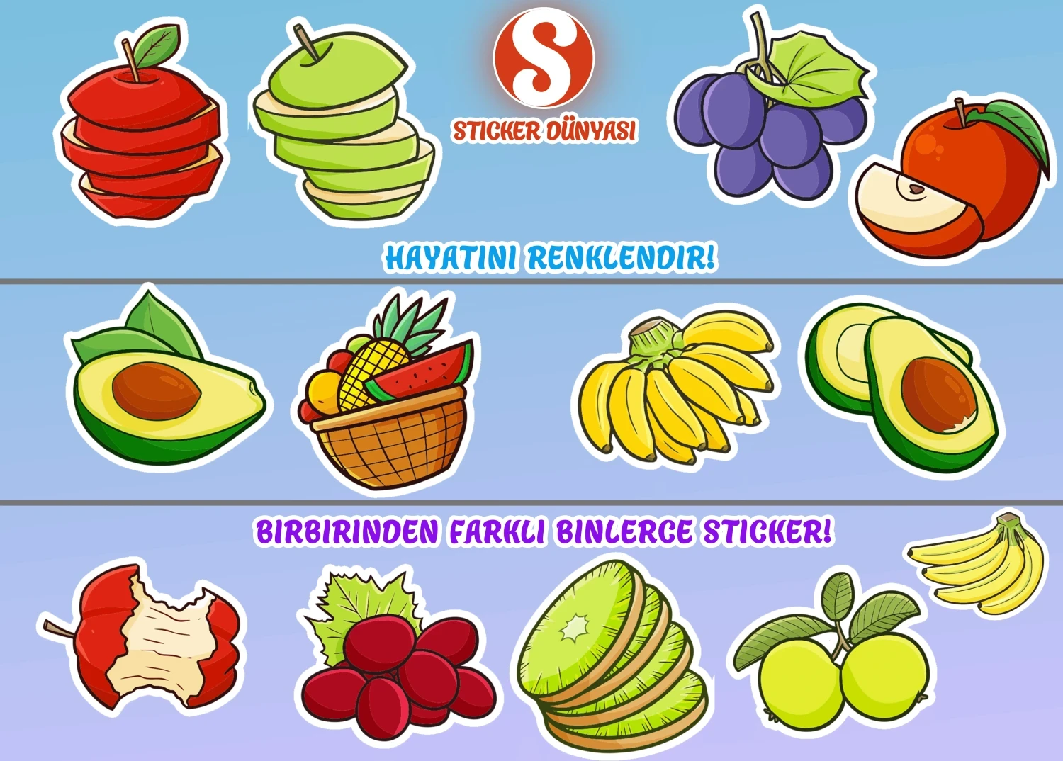 Meyveler Desenli Renkli Sticker Koleksiyonu (Meyveler01) görsel 4